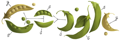 Gregor Mendel 189th birthday Google Logo